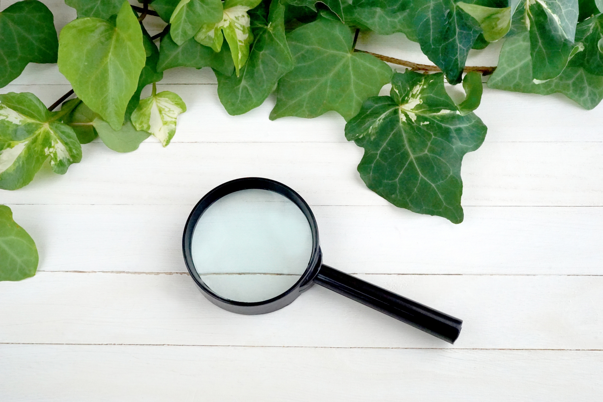 建築予定地調査報告書作成